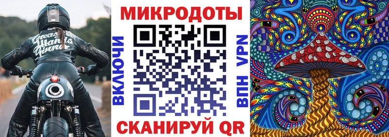 omg ССЫЛКА  Спасск-Дальний  Галлюциногенные грибы Psilocybine cubensis  купить  сайты 